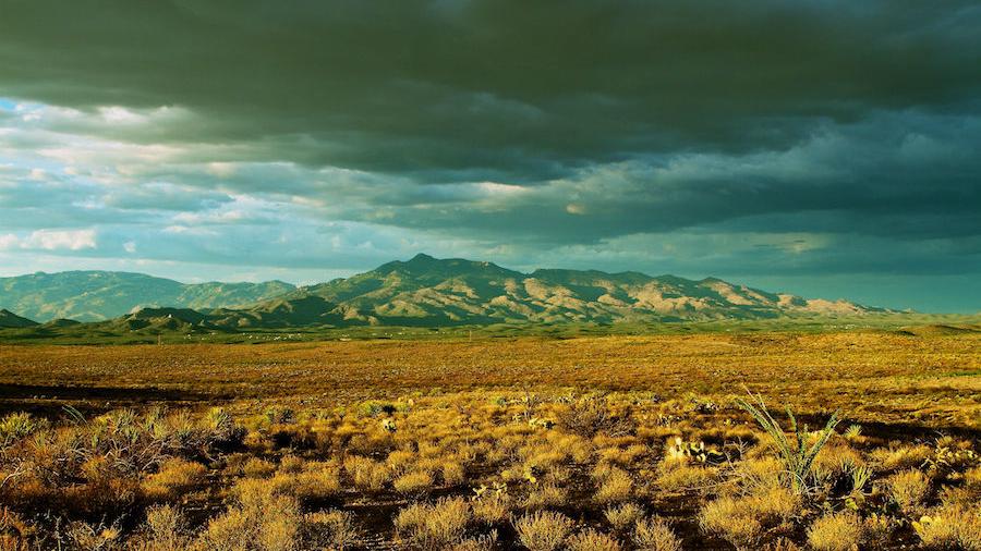Neto's Tucson: 'Voices of Vail' tells a rich, vibrant story